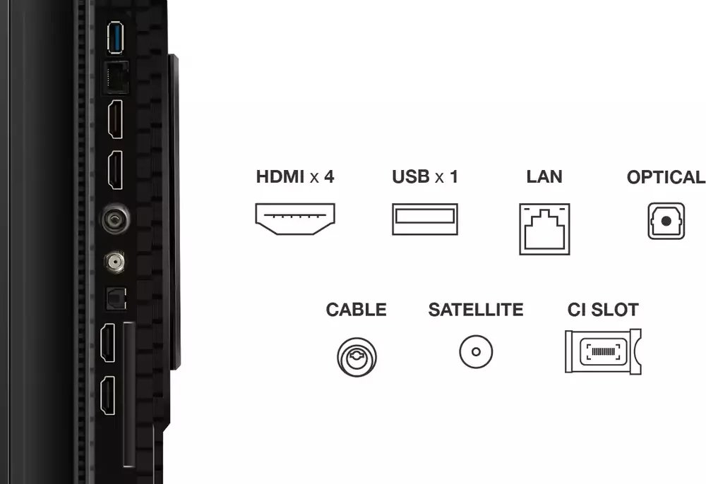 TCL 65T8C | 65" 4K Ultra HD QLED Smart TV | 120Hz | Google TV + Wifi | Dolby Vision | HDMI 2.1 (2025) 13 TCL 65T8C | 65" 4K Ultra HD QLED Smart TV | 120Hz | Google TV + Wifi | Dolby Vision | HDMI 2.1 (2025) - Afbeelding 13