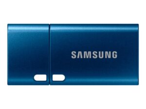 Samsung MUF-256DA | 256GB USB-C 3.2 Flash Drive | tot 400 MB/s lezen | tot 110 MB/s schrijven | Blauw