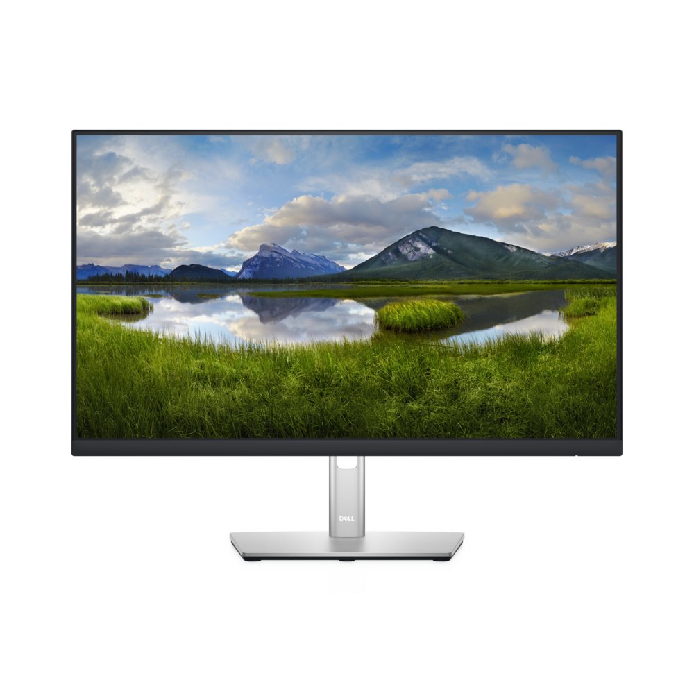 DELL P2422H 23.8" | 1920x1080 IPS | 60Hz | Monitor 1 DELL P2422H 23.8" | 1920x1080 IPS | 60Hz | Monitor