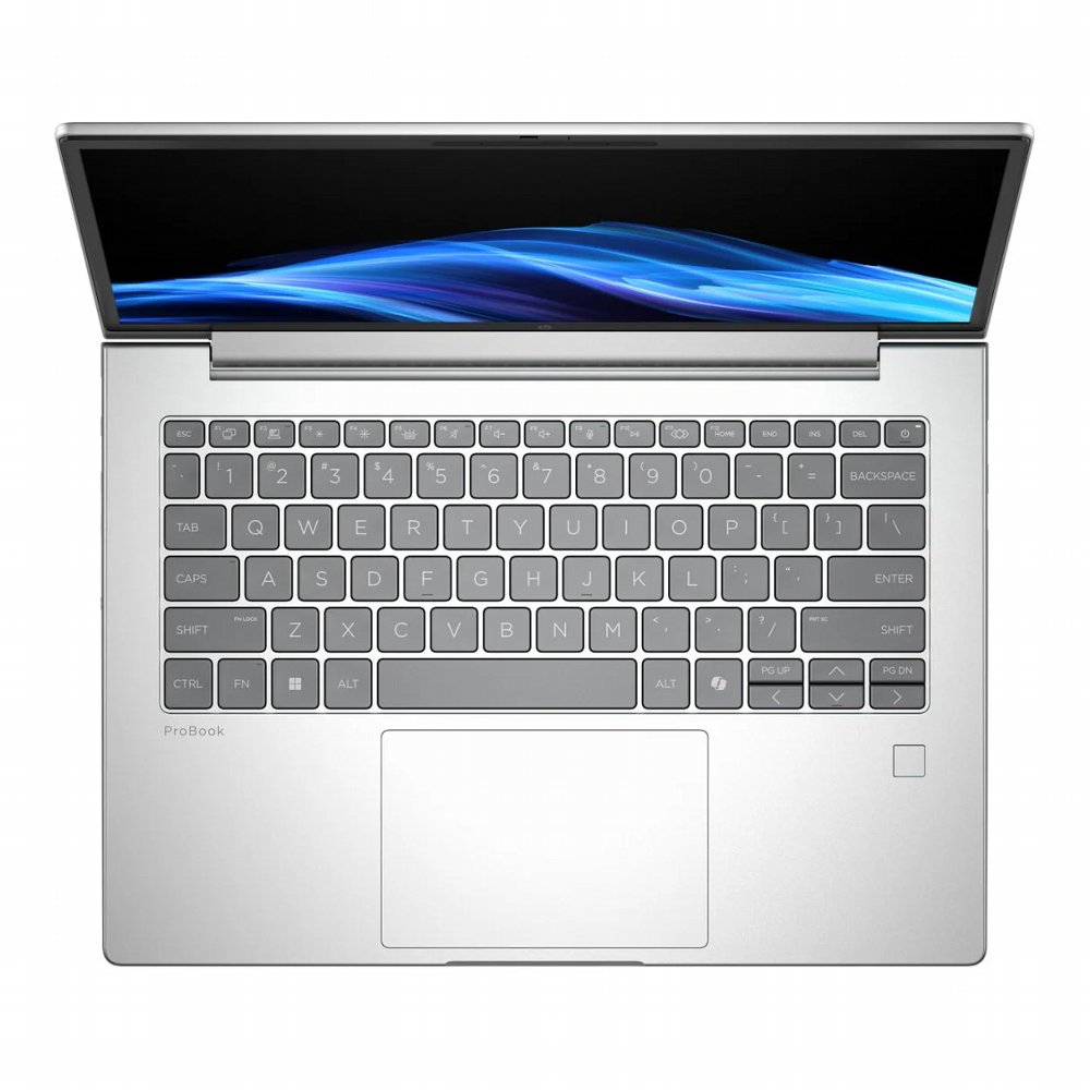 HP ProBook 4 G1A | 14'' WUXGA IPS | AMD Ryzen 5 230 | 16GB DDR5 | 512GB SSD | IR Camera | W11 Pro 2 HP ProBook 4 G1A | 14'' WUXGA IPS | AMD Ryzen 5 230 | 16GB DDR5 | 512GB SSD | IR Camera | W11 Pro - Afbeelding 2