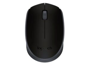 Logitech 910-004424 M171 Wireless Mouse, Ambidextrous, Optical, RF Wireless, 1000 DPI, Black